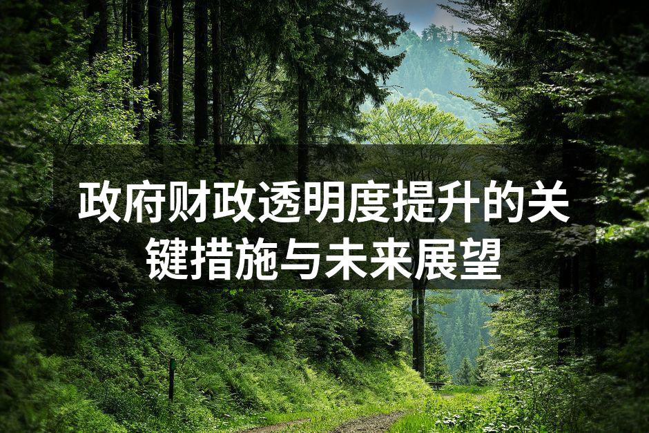 政府财政透明度提升的关键措施与未来展望